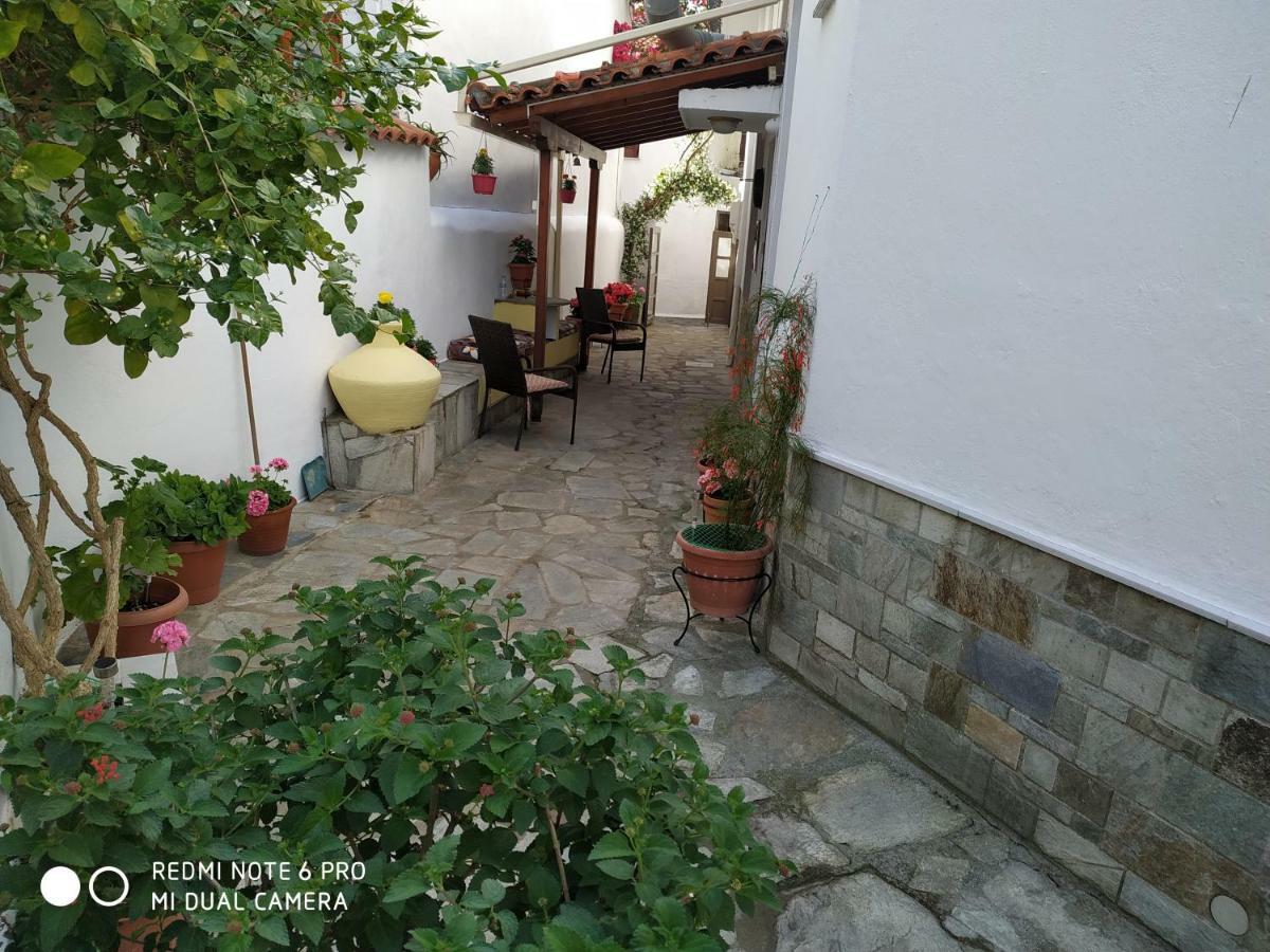 Pension Nikolas Skiathos Town Ngoại thất bức ảnh